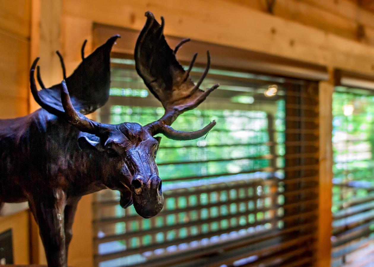 Bearfoot Inn #35 Sevierville Kültér fotó